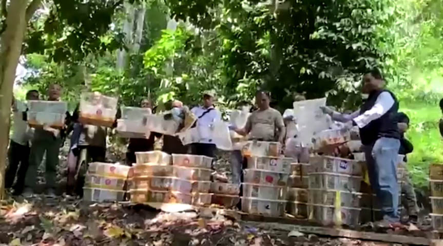 အင်ဒိုနီးရှားတွင် မှောင်ခိုသမားများလက်မှ တောရိုင်းငှက် ၆၅၀၀ ကျော်ကို ကယ်တင်ပြန်လွှတ်