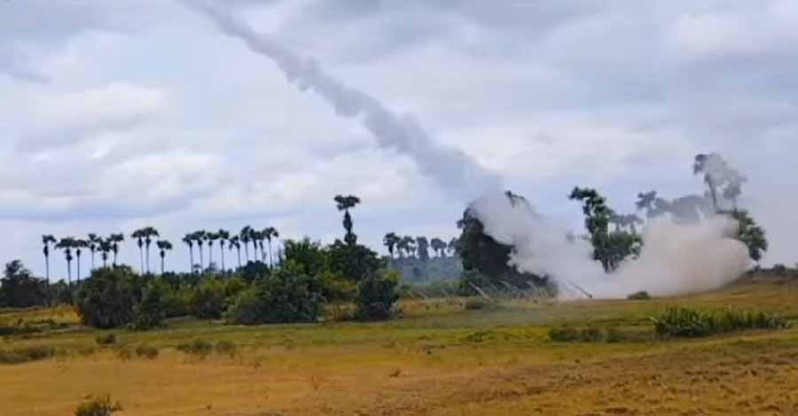 တောင်သာနှင့် အရာတော်တို့တွင် ပျူစောထီးများ တိုက်ခိုက်ခံရ