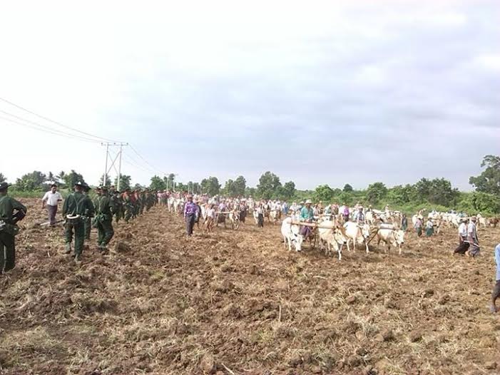 ကန္႔ဘလူ ထြန္တံုးတိုက္ပြဲ၀င္  ေထာင္က် လယ္သမားတခ်ဳိ႕ ျပန္လြတ္