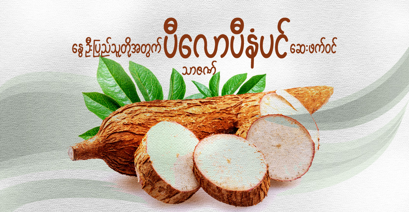 နွေဦးပြည်သူတို့အတွက် ပီလောပီနံပင် ဆေးဖက်ဝင်