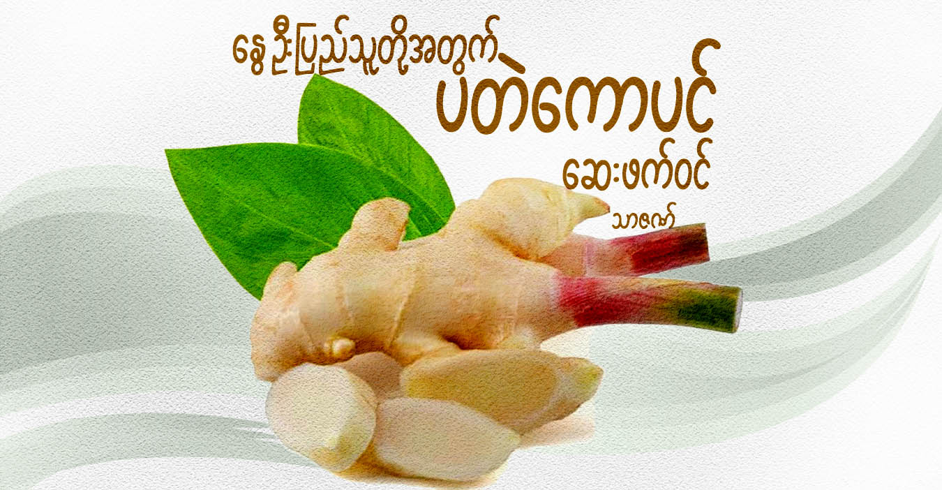 နွေဦးပြည်သူတို့အတွက် ပတဲကောပင် ဆေးဖက်ဝင်