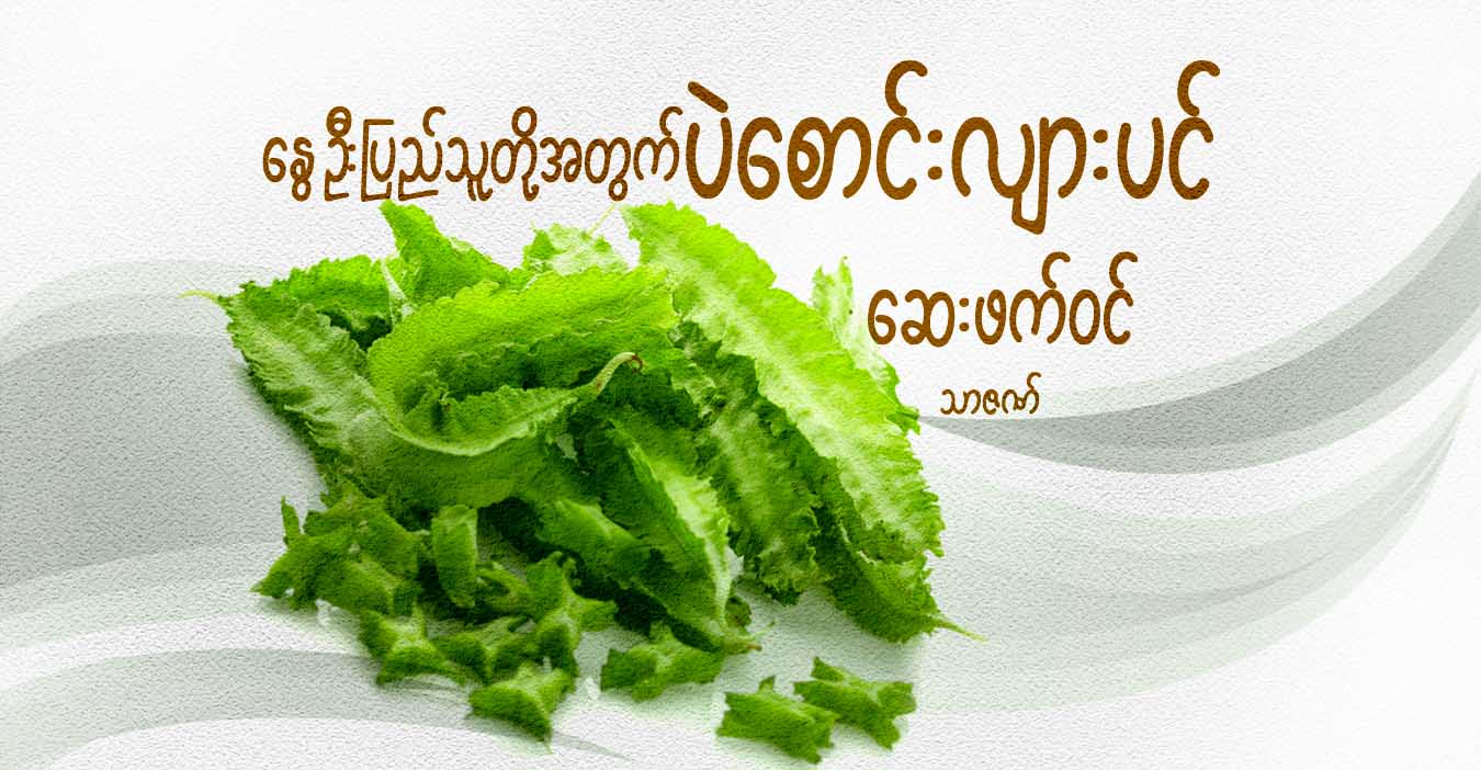 နွေဦးပြည်သူတို့အတွက် ပဲစောင်းလျားပင် ဆေးဖက်ဝင်