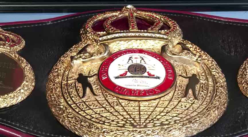 မိုက်တိုင်ဆန်နှင့် ဟိုလီဖီးတို့၏ ၉၆ WBA ခါးပတ်ကို ပါရီတွင် လေလံတင်မည်