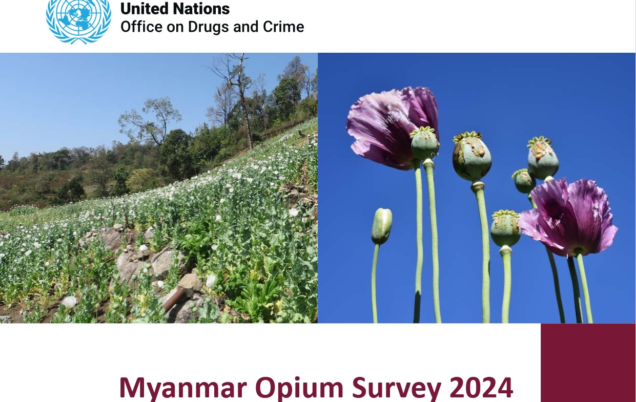 ကမ္ဘာပေါ်တွင် ဘိန်းစိုက်ပျိုးထုတ်လုပ်မှုအများဆုံး နိုင်ငံအဖြစ် မြန်မာ ဆက်လက်ရပ်တည်  