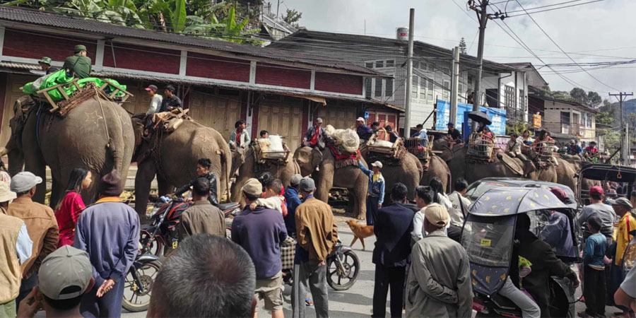 မိုးမိတ် PLA တပ်က ထိန်းသိမ်းထားသည့် ဆင်အကောင် ၆၀ ကို TNLA ထံ လွှဲပြောင်း