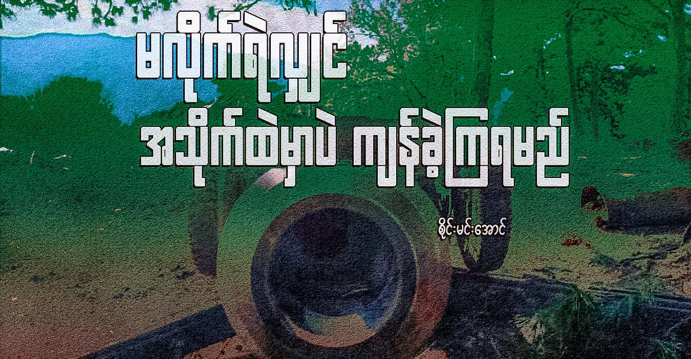 မလိုက်ရဲလျှင် အသိုက်ထဲမှာပဲ ကျန်ခဲ့ကြရမည်