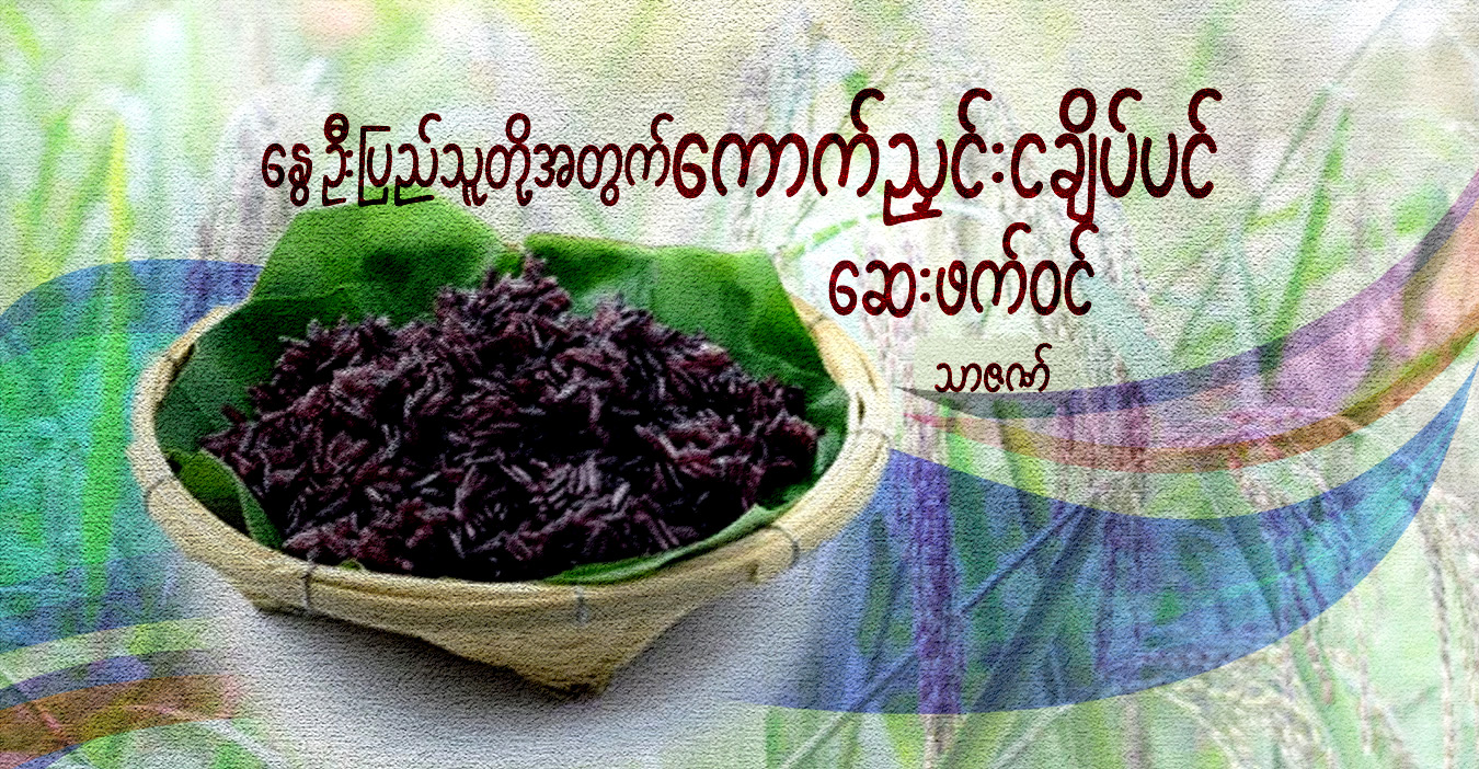 နွေဦးပြည်သူတို့အတွက် ကောက်ညှင်းငချိပ်ပင် ဆေးဖက်ဝင်