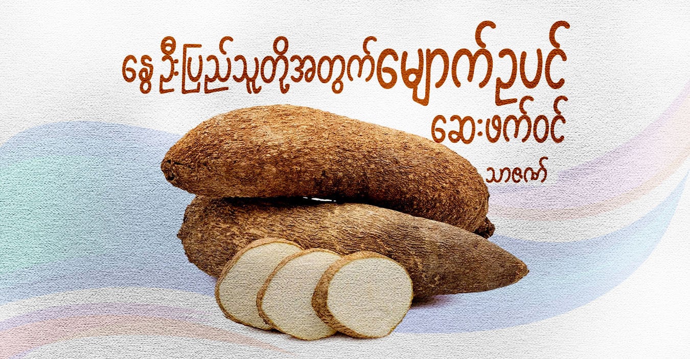 ပြည်သူတို့အတွက် မျောက်ဥပင် ဆေးဖက်ဝင်