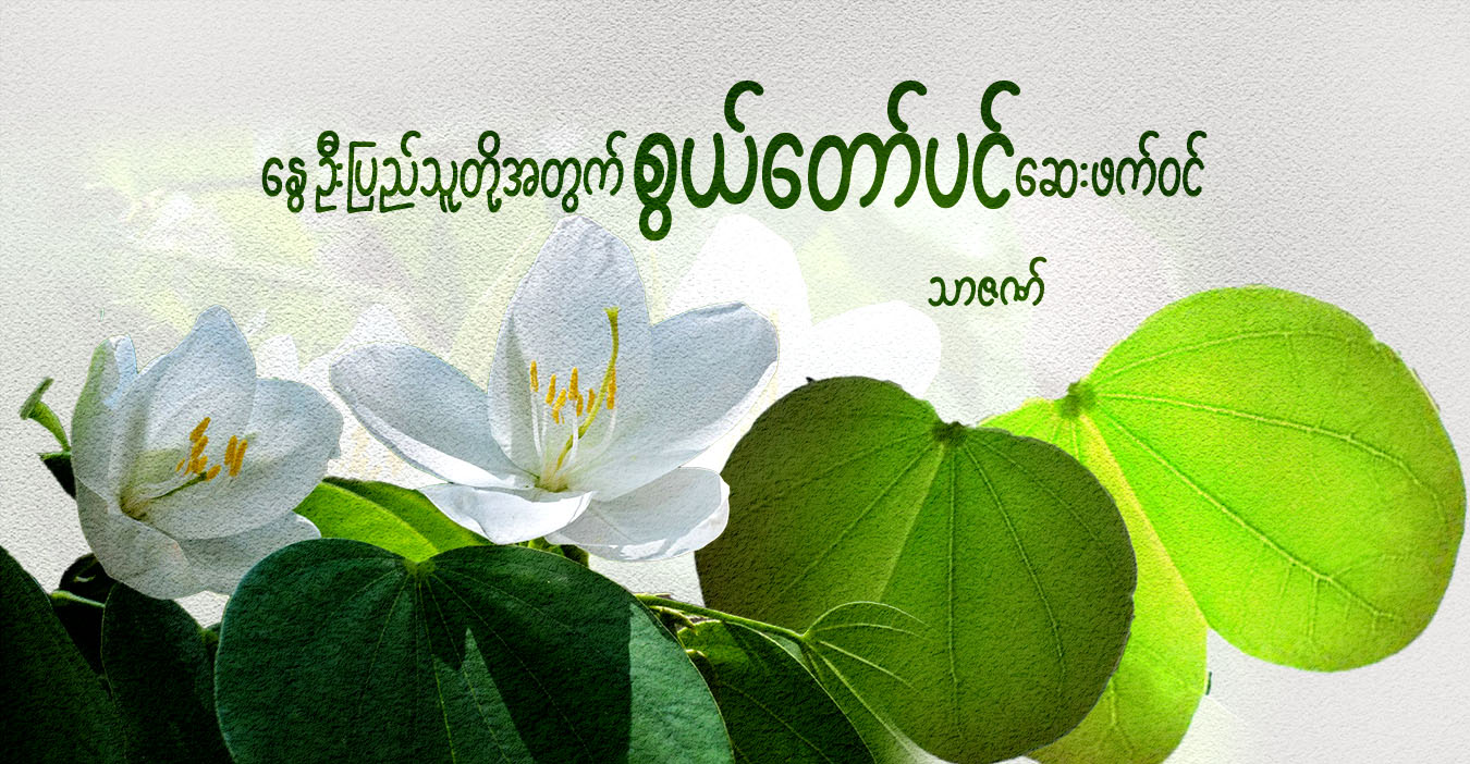 နွေဦးပြည်သူတို့အတွက် စွယ်တော်ပင် ဆေးဖက်ဝင်