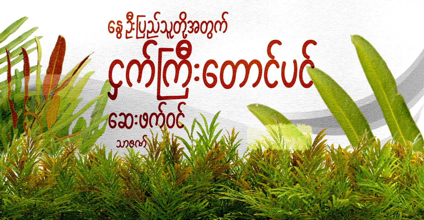 နွေဦးပြည်သူတို့အတွက် ငှက်ကြီးတောင်ပင် ဆေးဖက်ဝင်