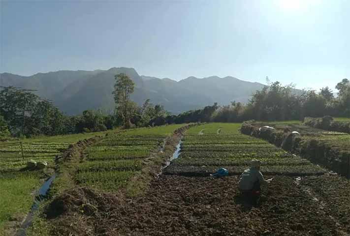 ဖရူဆိုစစ်ရှောင်များ စားဝတ်နေရေးအတွက် စိုက်ပျိုးရေးလုပ်ကိုင်