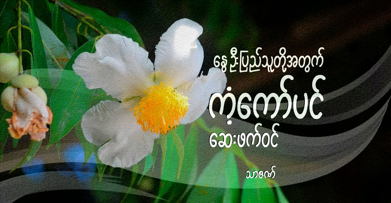 နွေဦးပြည်သူတို့အတွက် ကံ့ကော်ပင် ဆေးဖက်ဝင်