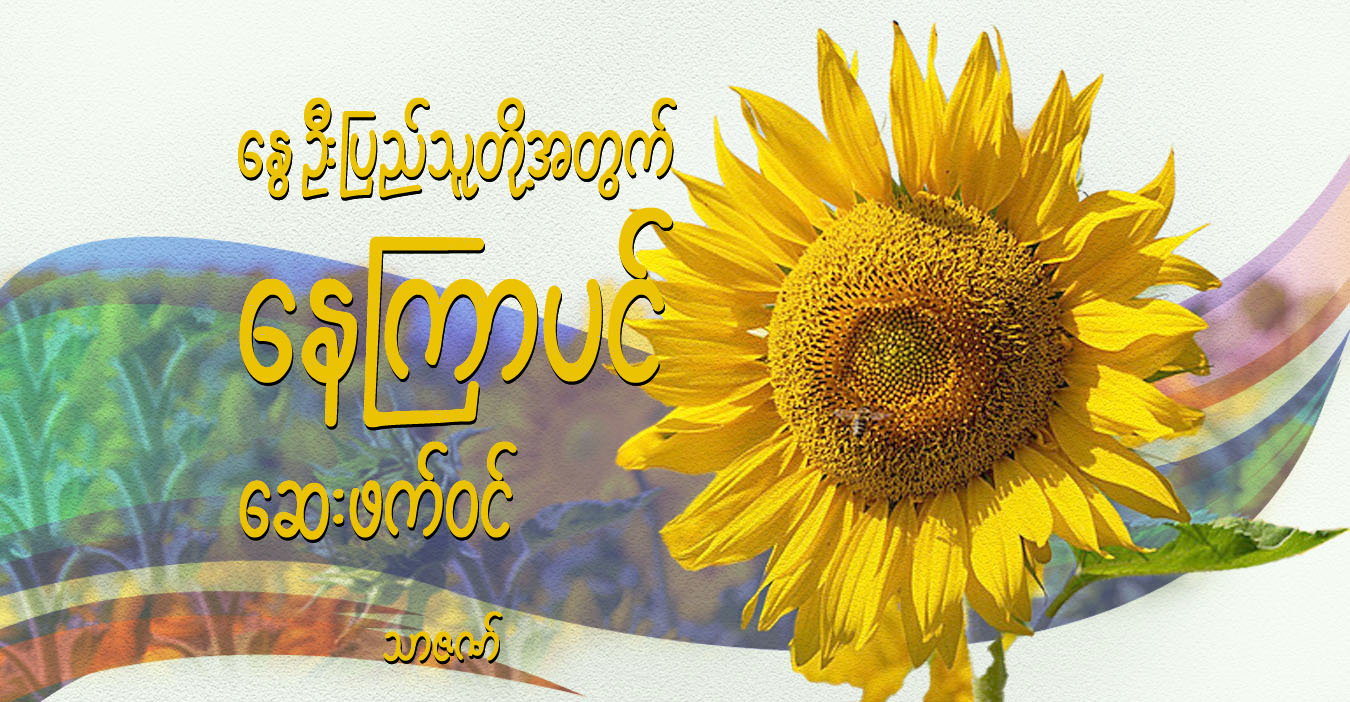 နွေဦးပြည်သူတို့အတွက် နေကြာပင် ဆေးဖက်ဝင်