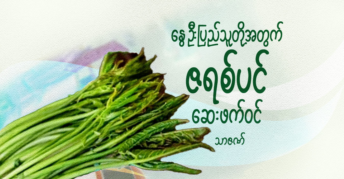 နွေဦးပြည်သူတို့အတွက် ဇရစ်ပင် ဆေးဖက်ဝင်