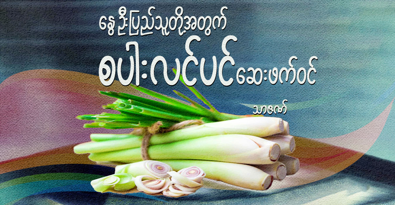 နွေဦးပြည်သူတို့အတွက် စပါးလင်ပင် ဆေးဖက်ဝင်