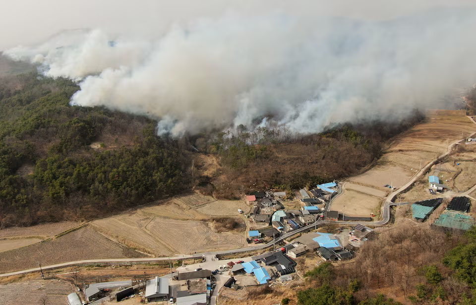 တောင်ကိုရီးယား တောမီးကြောင့် လူ ၁၈ ဦး သေဆုံး