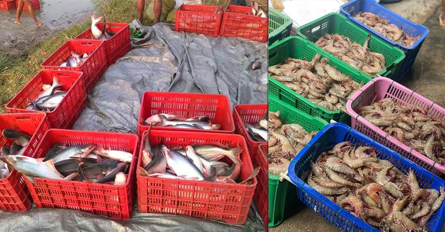 ငလျင်ကြောင့် လမ်းပန်းဆက်သွယ်ရေးထိခိုက်ပြီး ဧရာဝတီတိုင်းမှ ရေထွက်ကုန်များ မတင်ပို့နိုင်