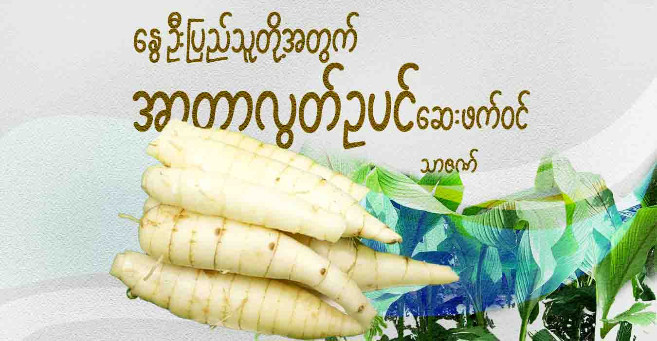 နွေဦးပြည်သူတို့အတွက် အာတာလွတ်ဥပင် ဆေးဖက်ဝင်