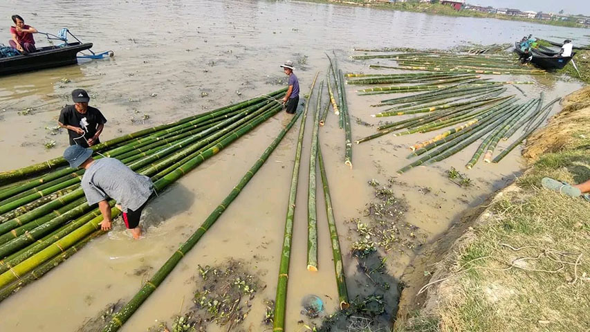 အင်းလေးဒေသတွင် ငလျင်လှုပ်ခတ်ပြီးနောက် ဝါးဈေးနှုန်းအဆမတန် မြင့်တတ်