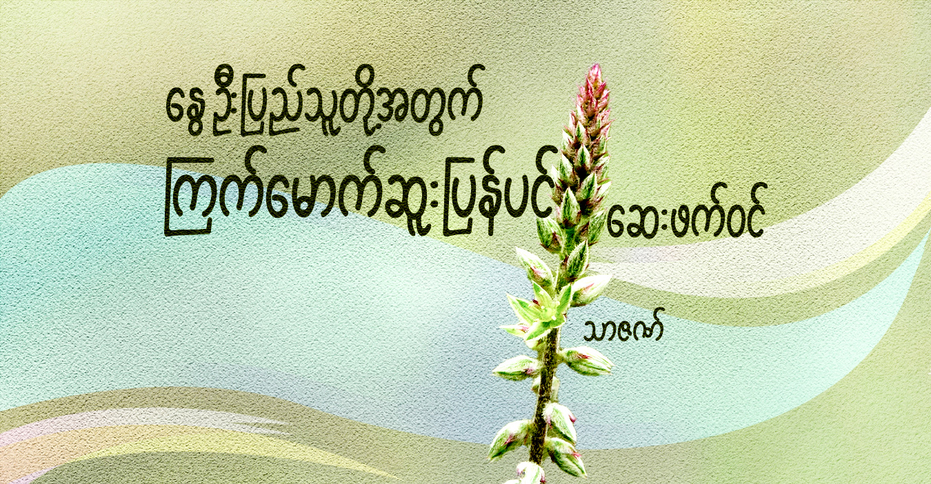 နွေဦးပြည်သူတို့အတွက် ကြက်မောက်ဆူးပြန်ပင် (စစ်သိမ်ပင်/ကျွဲနှာခေါင်းချိတ်ပင်) ဆေးဖက်ဝင်