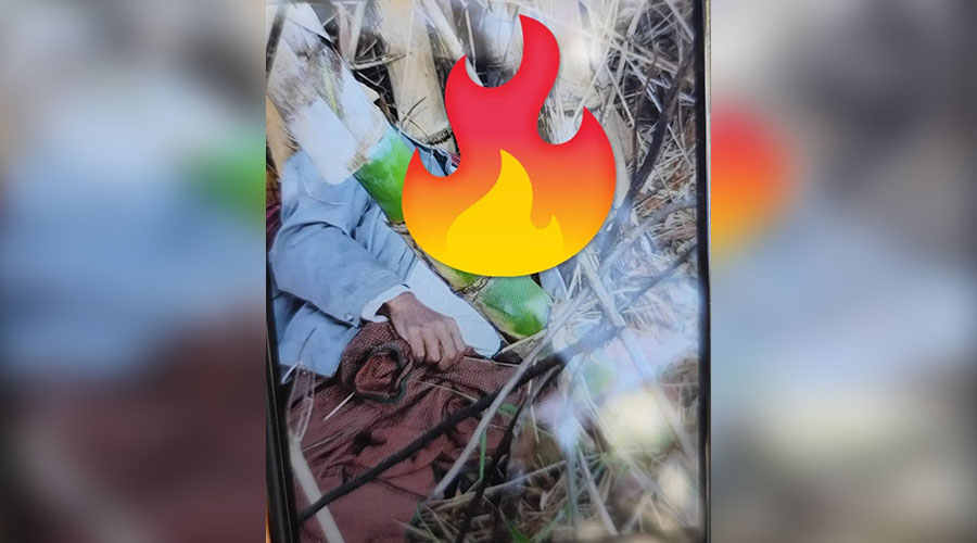 အောင်ပန်းတွင် ဝါးခုတ်ရာက အမျိုးသား ၁ ဦး ဓာတ်လိုက်သေဆုံး