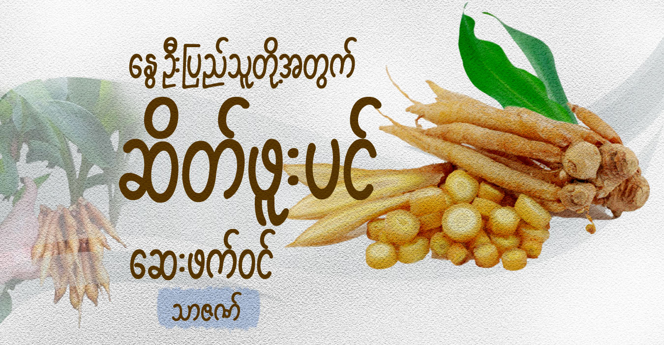 နွေဦးပြည်သူတို့အတွက် ဆိတ်ဖူးပင် ဆေးဖက်ဝင်