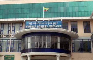ငါးလုပ္ငန္းမွ ျပည္ပ ၀င္ေငြ ရရွိမႈ ၇ ႏွစ္အတြင္း အနိမ့္ဆုံးက်ဆင္းႏိုင္
