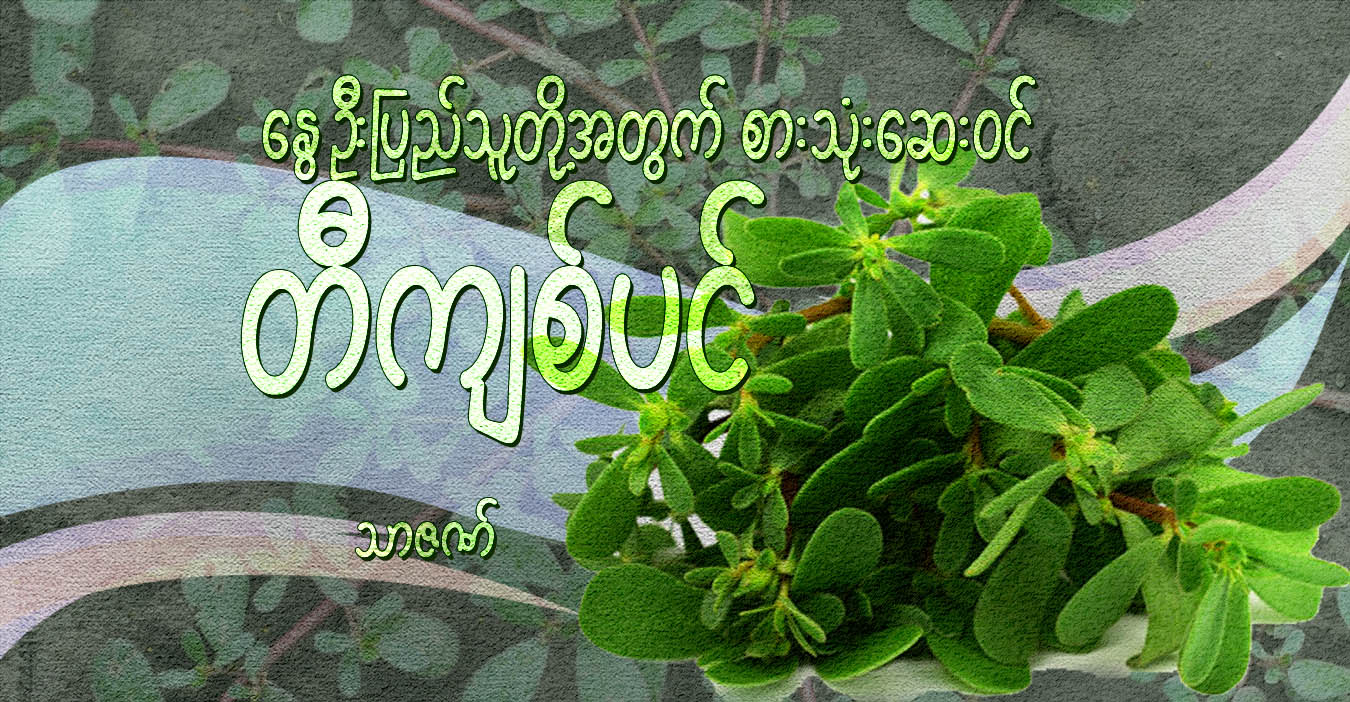 နွေဦးပြည်သူတို့အတွက် စားသုံးဆေးဝင် တီကျစ်ပင်