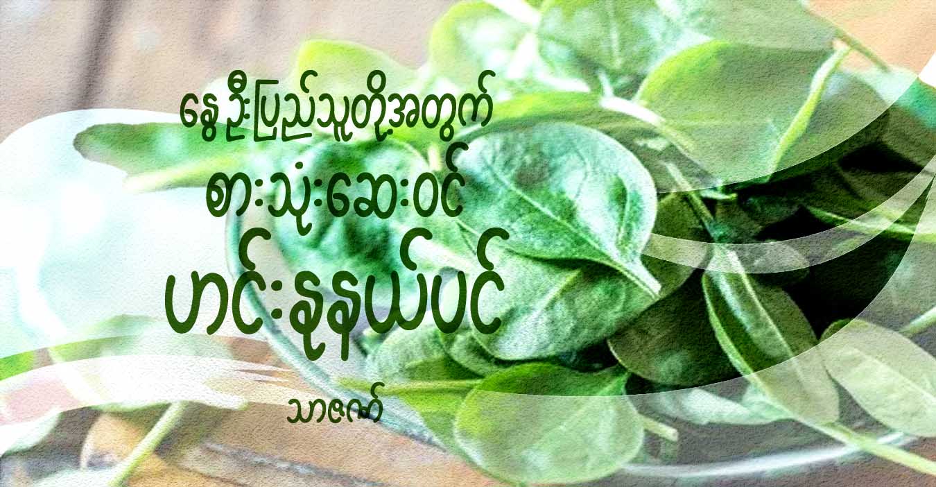 နွေဦးပြည်သူတို့အတွက် စားသုံးဆေးဝင် ဟင်းနုနယ်ပင်