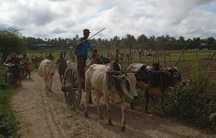မတ္တရာမြို့နယ် ရွာသာယာရွာကို စစ်တပ် လက်နက်ကြီးပစ်ခတ်၊ အမျိုးသမီး ၂ ဦး ဒဏ်ရာရ
