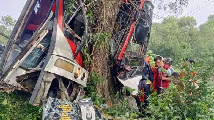 ကျောင်းကုန်းတွင် ခရီးသည်တင်ယာဉ် သစ်ပင်ဝင်တိုက်၊ ယာဉ်မောင်း သေဆုံးပြီး ၁၁ ဦး ဒဏ်ရာရ