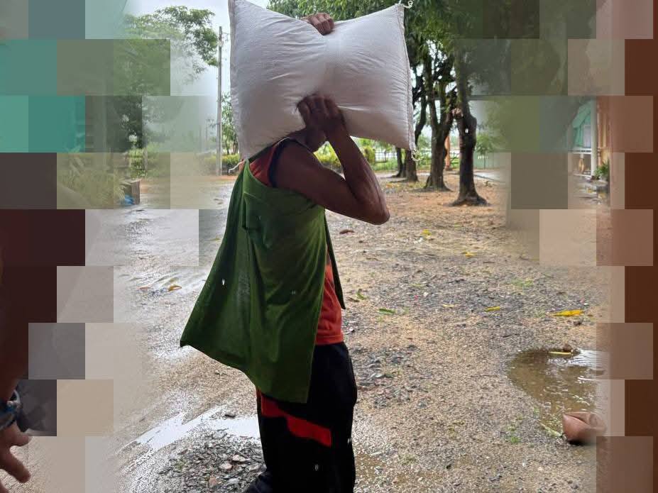တိုက်ပွဲနှင့် လက်နက်ကြီးကြောင့် ပုလောနှင့် လောင်းလုံးက ဒေသခံထောင်ချီ ထွက်ပြေးနေရ