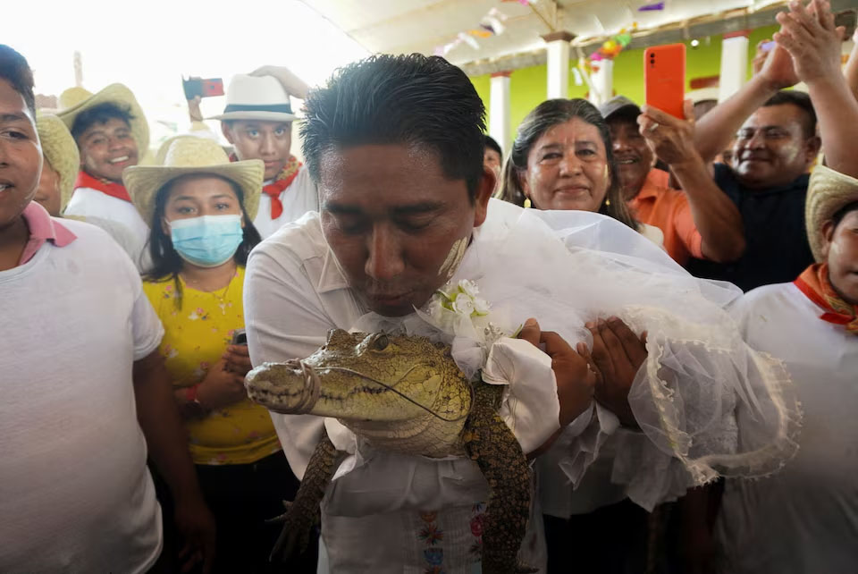 ကံကောင်းစေရန် မိကျောင်းနှင့်လက်ထပ်သည့် မက္ကဆီကို မြို့တော်ဝန်