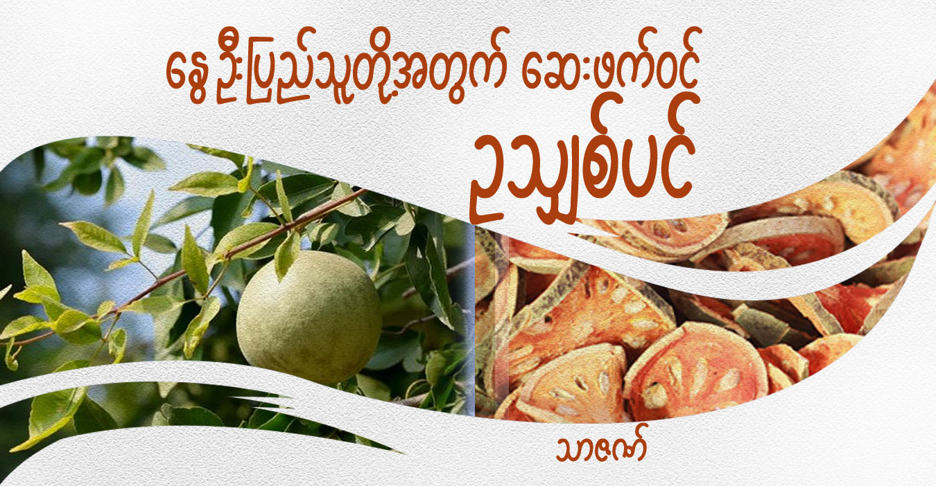 နွေဦးပြည်သူတို့အတွက် ဥသျှစ်ပင် ဆေးဖက်ဝင်