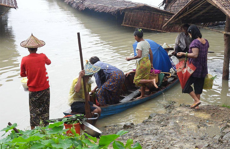 ကျောက်တော်၊ မြောက်ဦးနှင့် ဘူးသီးတောင်တို့တွင် မိုးသည်းထန်ပြီး ရေကြီး