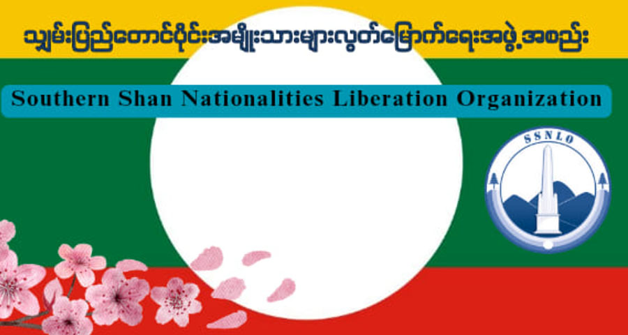 သျှမ်းပြည်တောင်ပိုင်း အမျိုးသားများလွတ်မြောက်ရေးအဖွဲ့ ဖွဲ့စည်း
