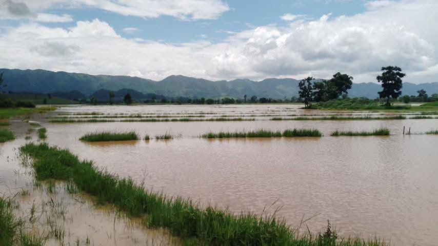 ဆီဆိုင်တွင် ရေကြီးပြီး စပါးနှင့် ပြောင်း စိုက်ဧက ၁,၀၀၀ကျော် နစ်မြုပ်ပျက်စီး