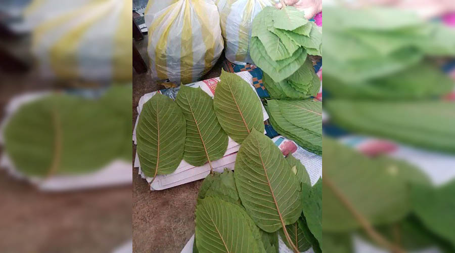 မုဒုံမြို့နယ်တွင် ဘိန်းစာရွက်အပါအဝင် မူးယစ်ဆေးဝါးရောင်းချခွင့်ကို လိုင်းကြေးယူ ခွင့်ပြုထား