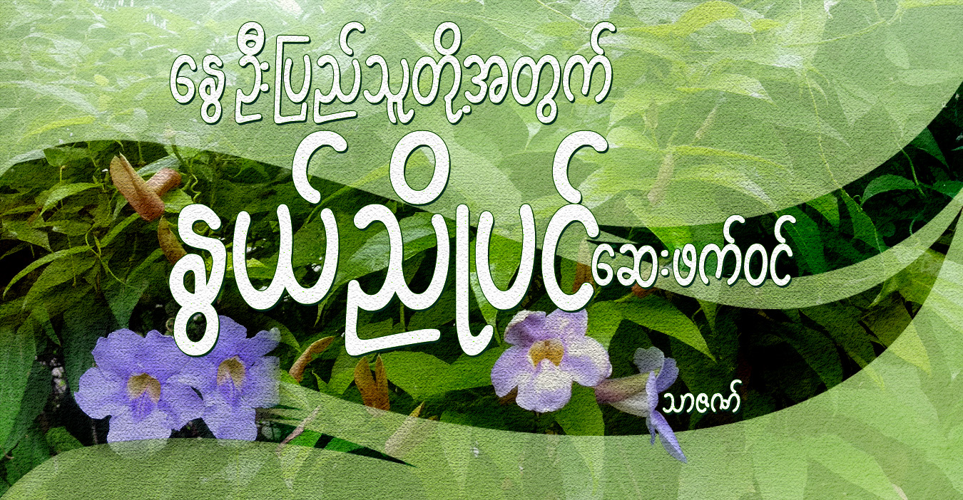 နွေဦးပြည်သူတို့အတွက် နွယ်ညိုပင် ဆေးဖက်ဝင်