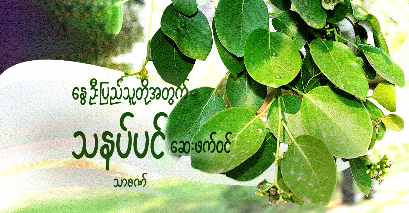 နွေဦးပြည်သူတို့အတွက် သနပ်ပင် ဆေးဖက်ဝင်