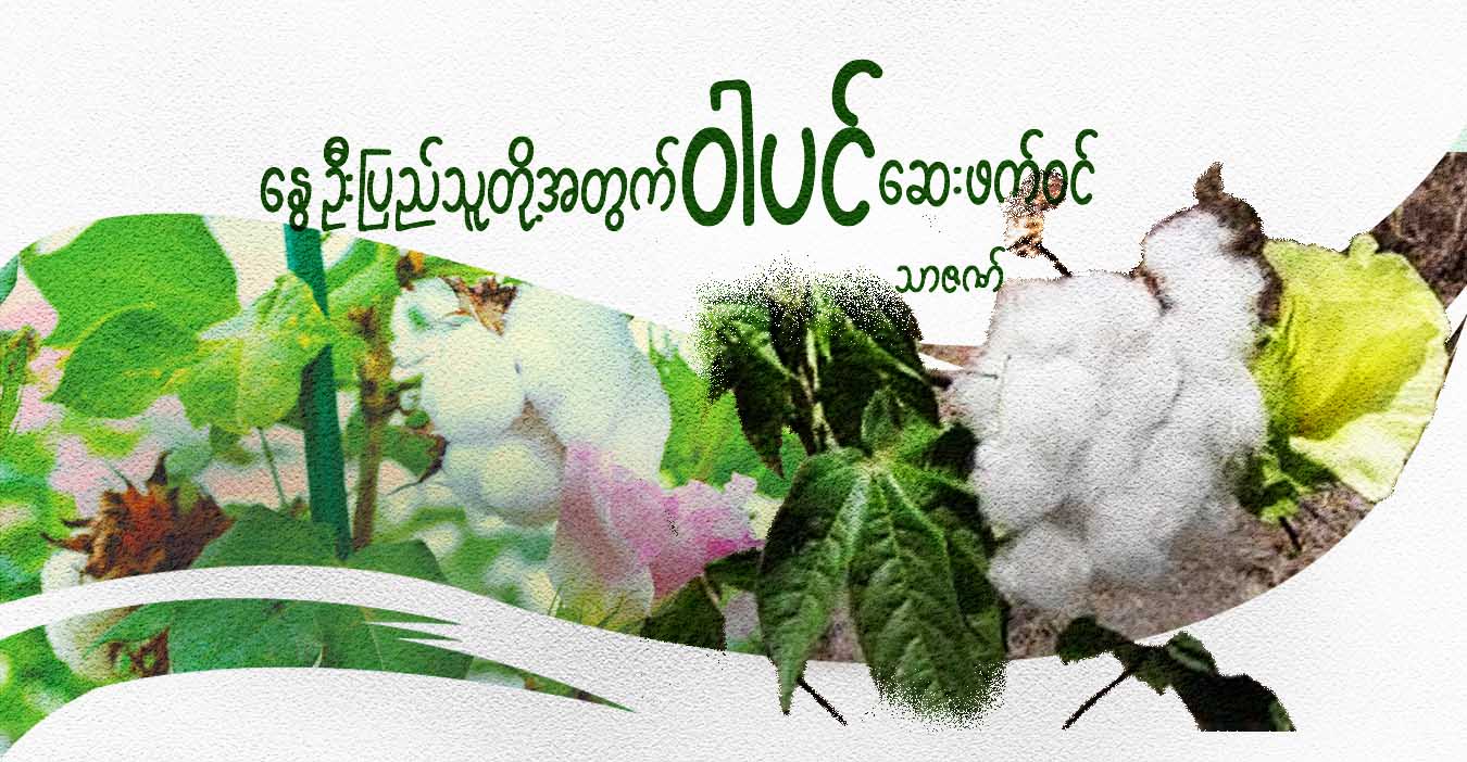 နွေဦးပြည်သူတို့အတွက် ဝါပင် ဆေးဖက်ဝင်