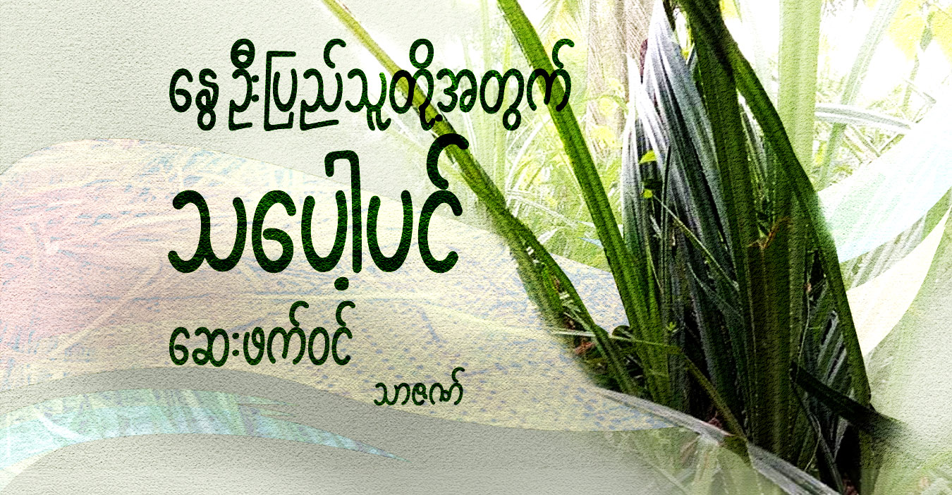 နွေဦးပြည်သူတို့အတွက် သပေါ့ပင် ဆေးဖက်ဝင်
