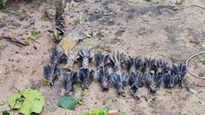 ကျွန်းလှမြို့နယ်ထဲကို စစ်တပ်က လေယာဥ်ဖြင့် ဗုံးအလုံး ၃၀ နီးပါး ကြဲချ