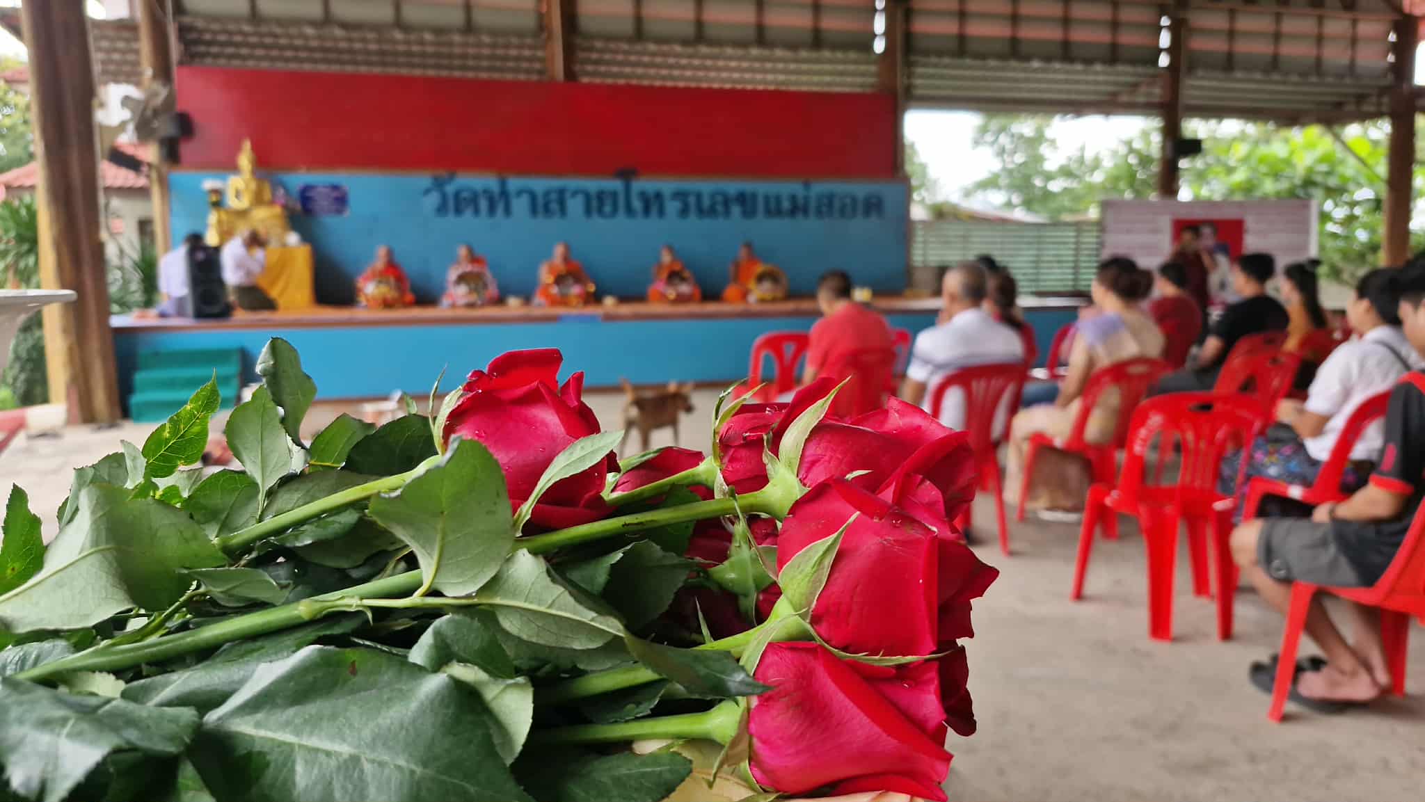 ဒေါ်အောင်ဆန်းစုကြည် အမြန်ပြန်လွတ်မြောက်ရန် ဆွမ်းကပ်လှူဒါန်း ဆုတောင်းပွဲ ထိုင်းနိုင်ငံ၌ ပြုလုပ်