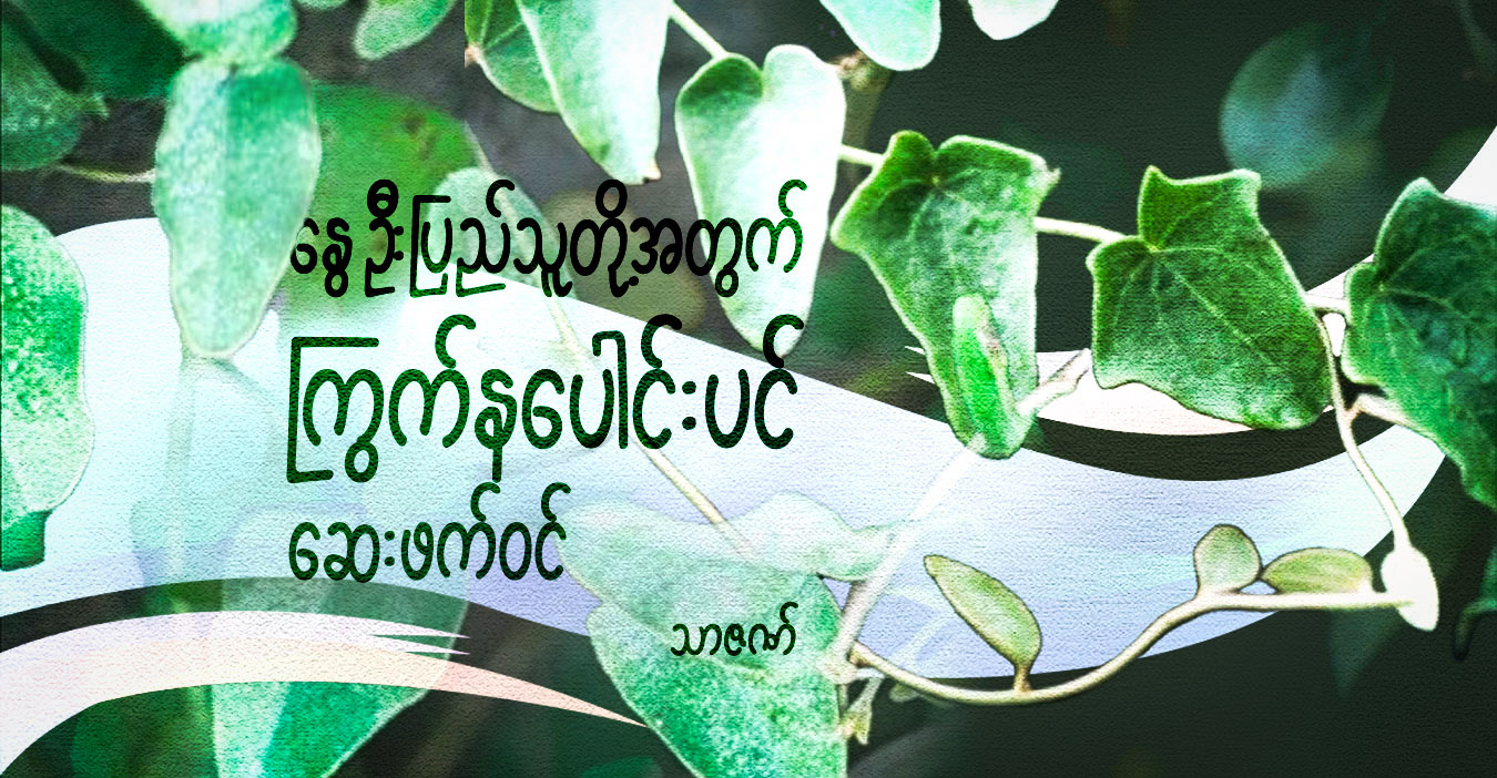 နွေဦးပြည်သူတို့အတွက် ကြွက်နပေါင်းပင် ဆေးဖက်ဝင်