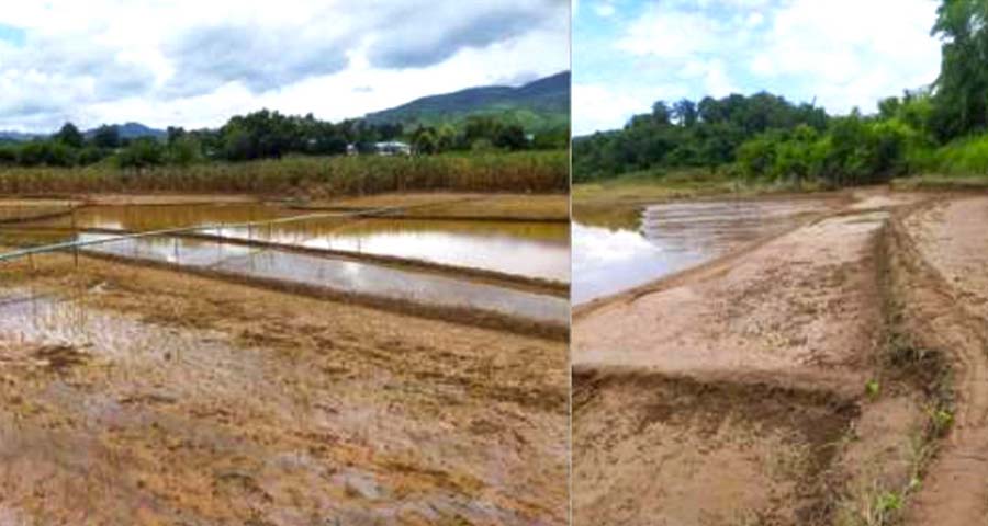 မိုင်းခတ်မြို့နယ်၌ နုန်းတင်ရေကြီးများမှုကြောင့် လယ်ယာမြေများပျက်စီး