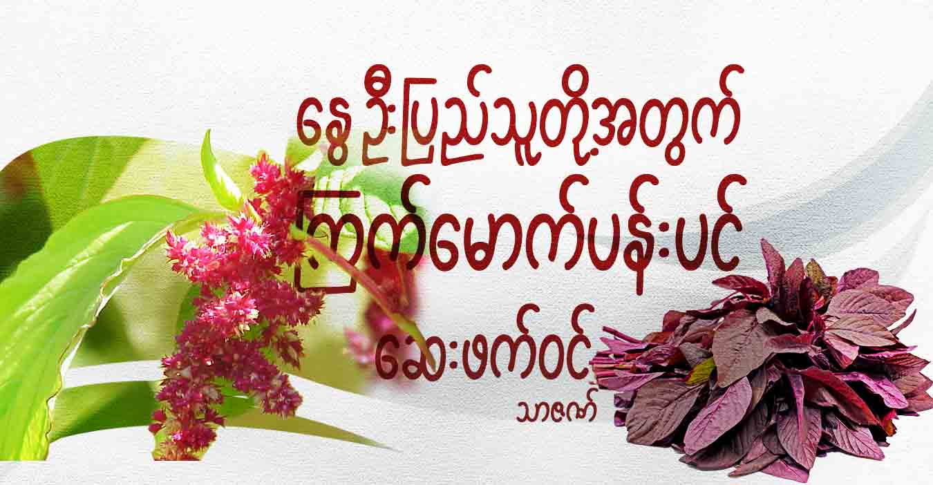 နွေဦးပြည်သူတို့အတွက် ကြက်မောက်ပန်းပင် ဆေးဖက်ဝင်