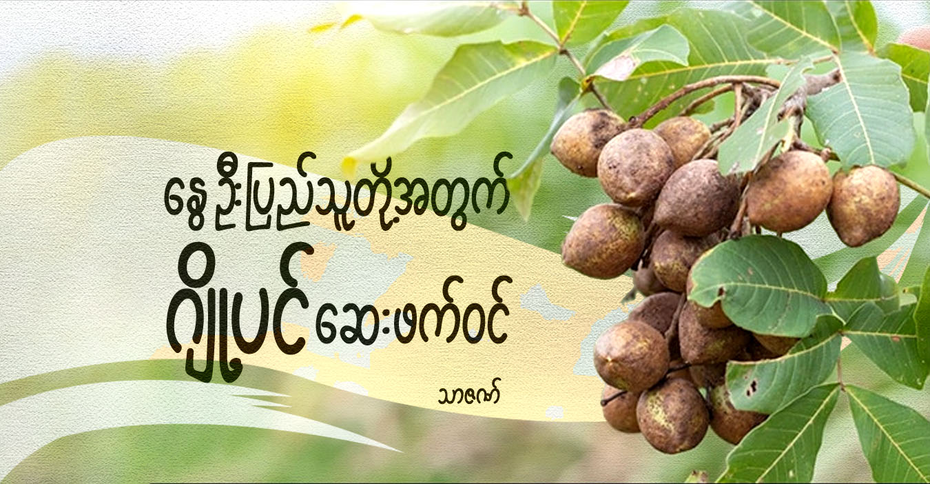 နွေဦးပြည်သူတို့အတွက် ဂျို့ပင် ဆေးဖက်ဝင် 