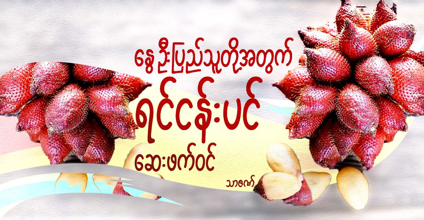 နွေဦးပြည်သူတို့အတွက် စားသုံးဆေးဝင် ရင်ငန်းပင်