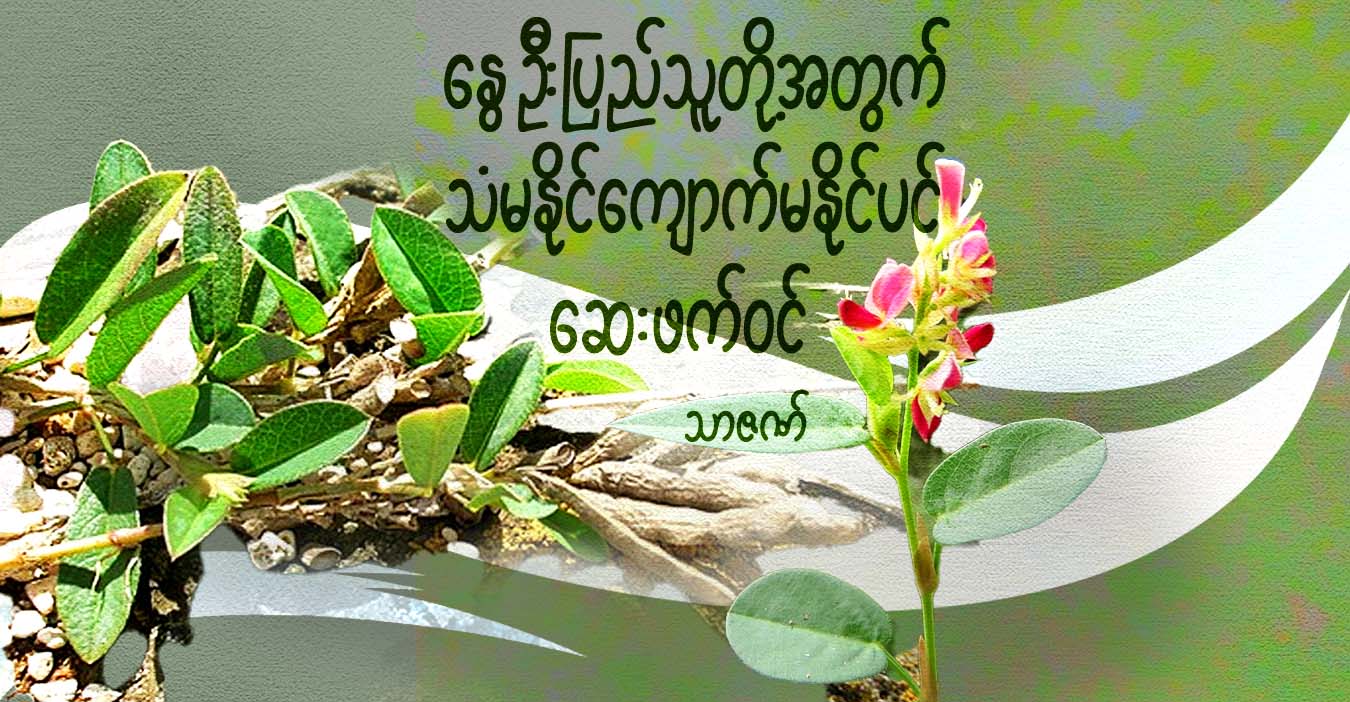 နွေဦးပြည်သူတို့အတွက် သံမနိုင်ကျောက်မနိုင်ပင် ဆေးဖက်ဝင်